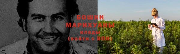 PSILOCYBIN Липки