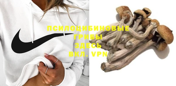 PSILOCYBIN Липки
