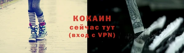 сатива Чита