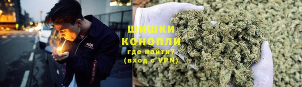 PSILOCYBIN Липки
