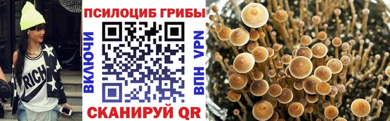 как найти закладки Любим Псилоцибиновые грибы мицелий
